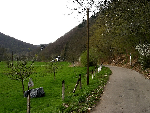 Ruhige Straßen und Fedwege sind das Ziel der RTF's