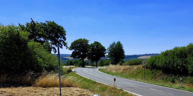 Sommerausblick auf der Höhe