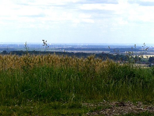 Ausblick vom Breidel in den Kreis Düren