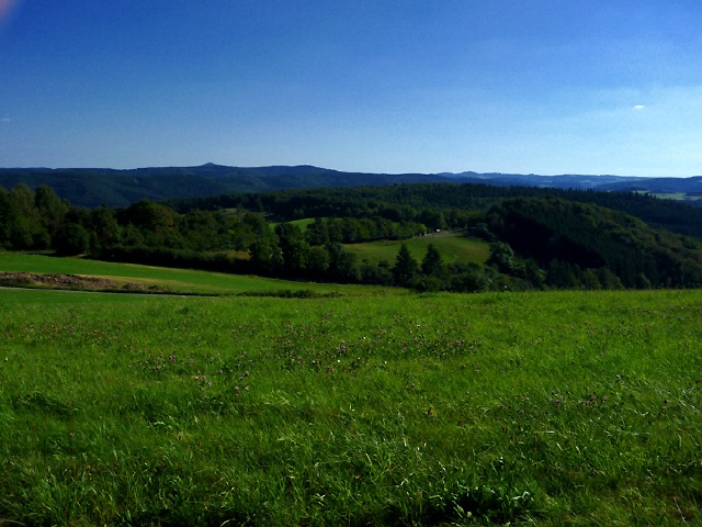 Abstecher ins Ahrgebirge