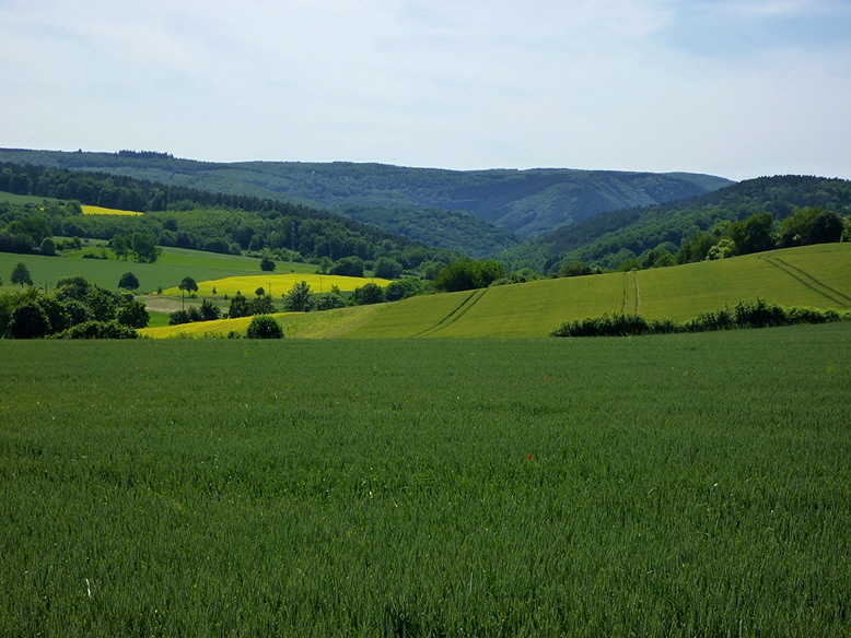 Blick ins Heimbach-Tal