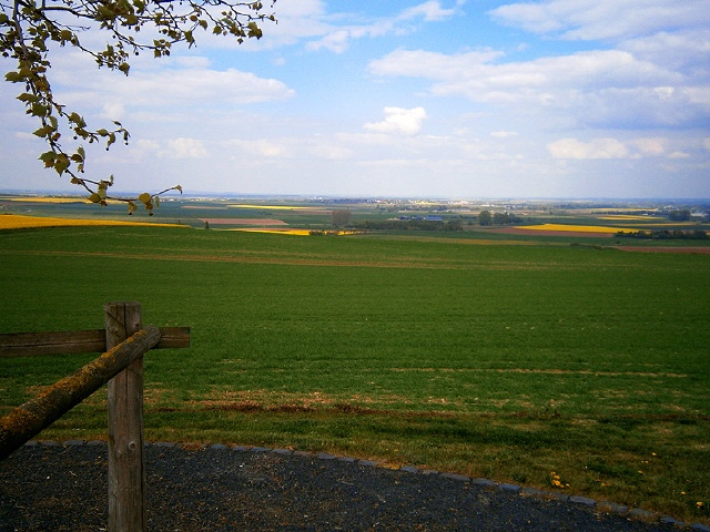 Blick in die Zülpicher Börde